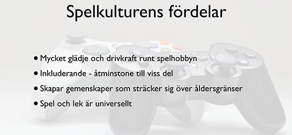 Förel_KvinnaSkaraborg_19